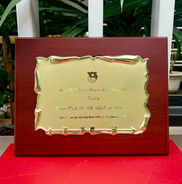 Biểu trưng ghi danh - Hình ảnh 6