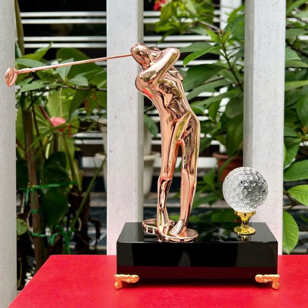 Biểu trưng pha lê - Hình ảnh 13