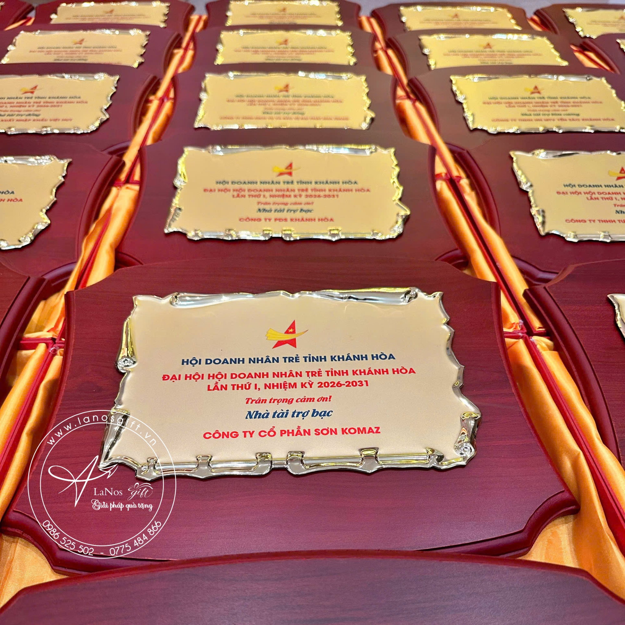 Bảng vinh danh - LNBVD 02 - Hình ảnh 10