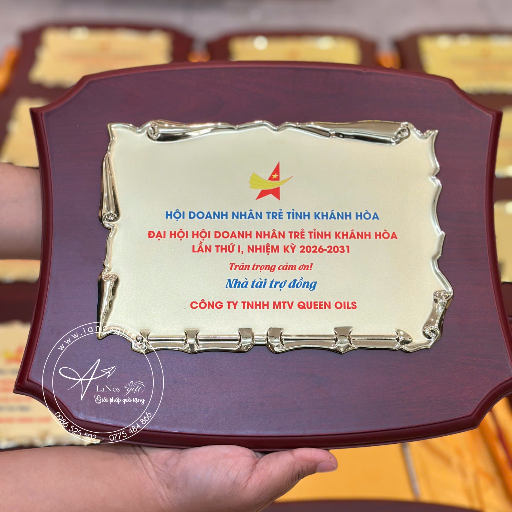 Bảng vinh danh - LNBVD 02 - Hình ảnh 11