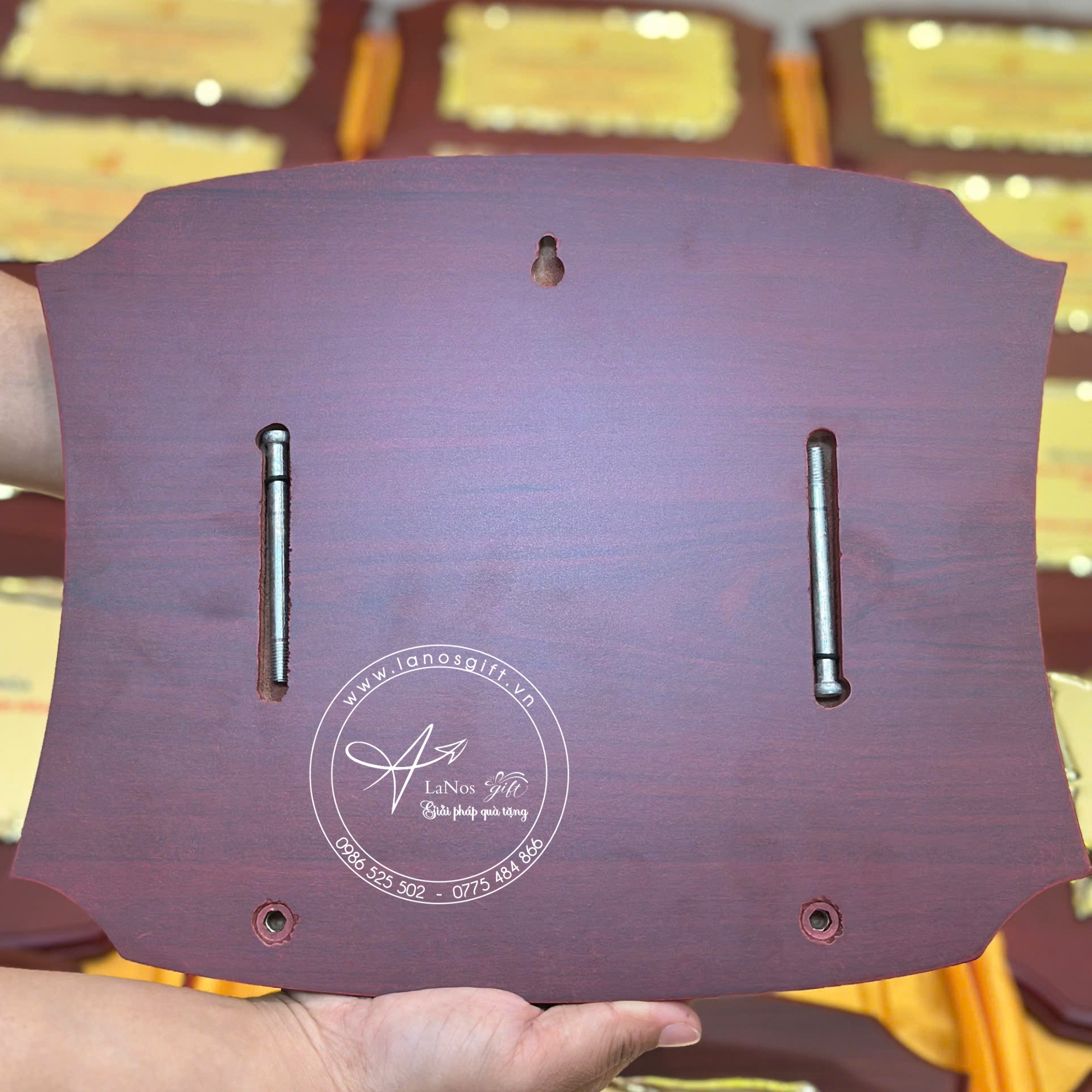 Bảng vinh danh - LNBVD 02 - Hình ảnh 12