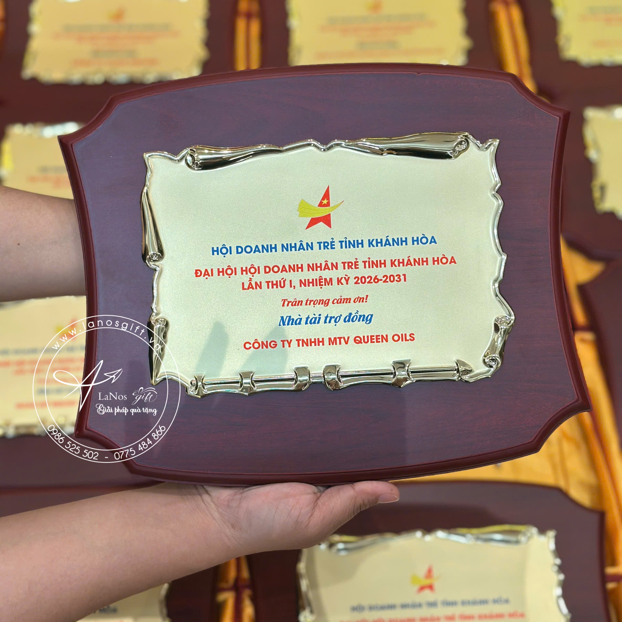 Bảng vinh danh - LNBVD 02 - Hình ảnh 2