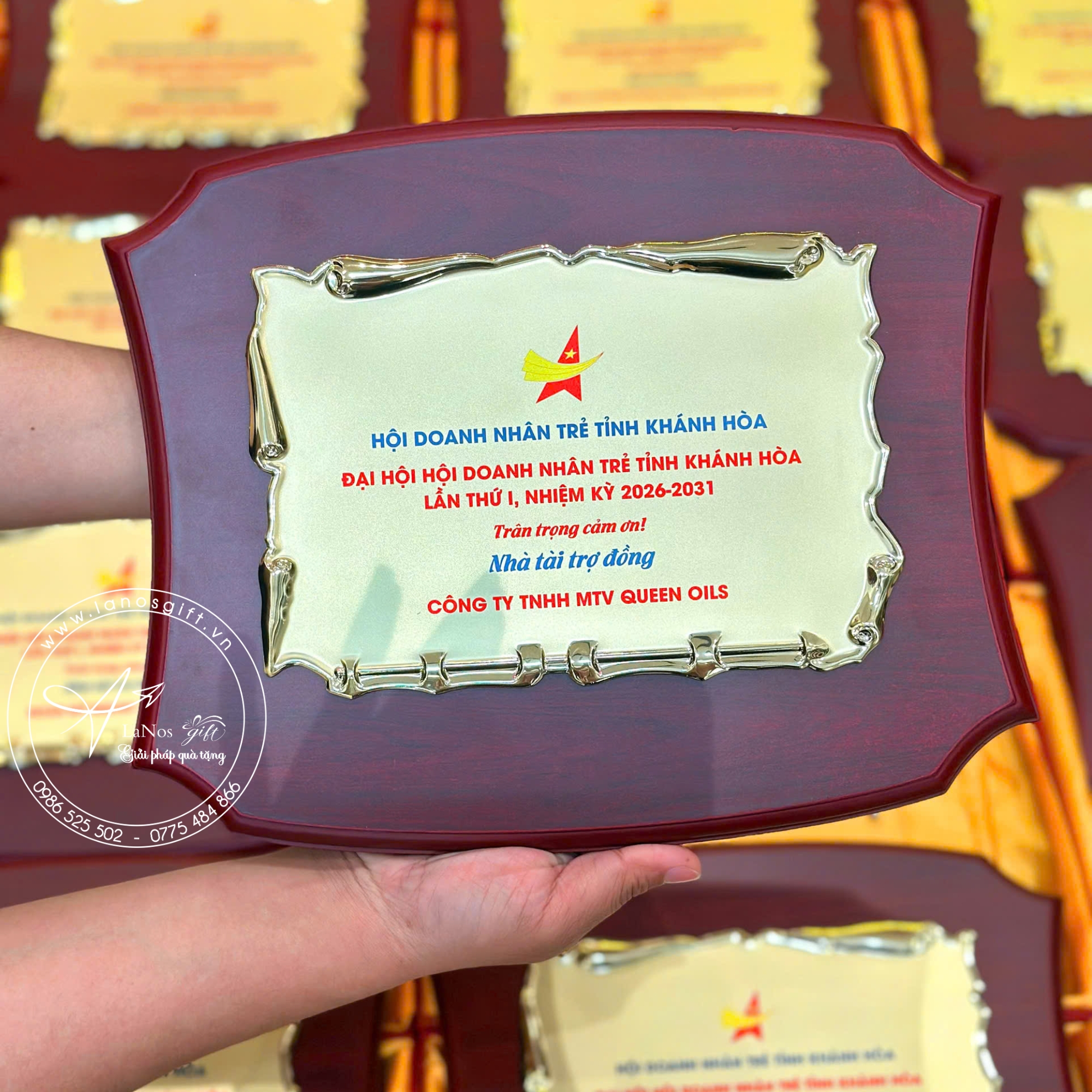 Bảng vinh danh - LNBVD 02 - Hình ảnh 4