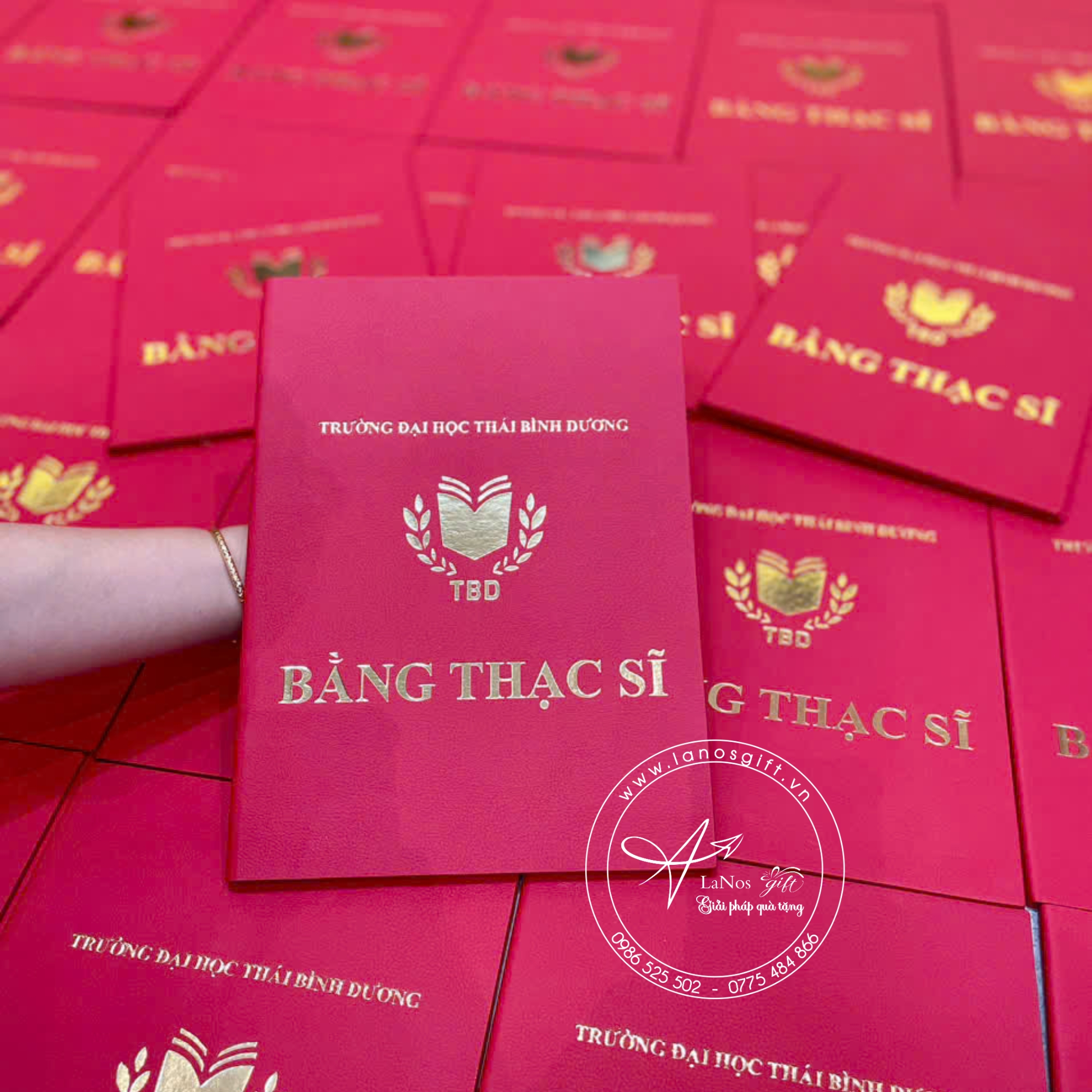 Bìa tốt nghiệp thiết kế theo yêu cầu - LNBTN 01 - Hình ảnh 2