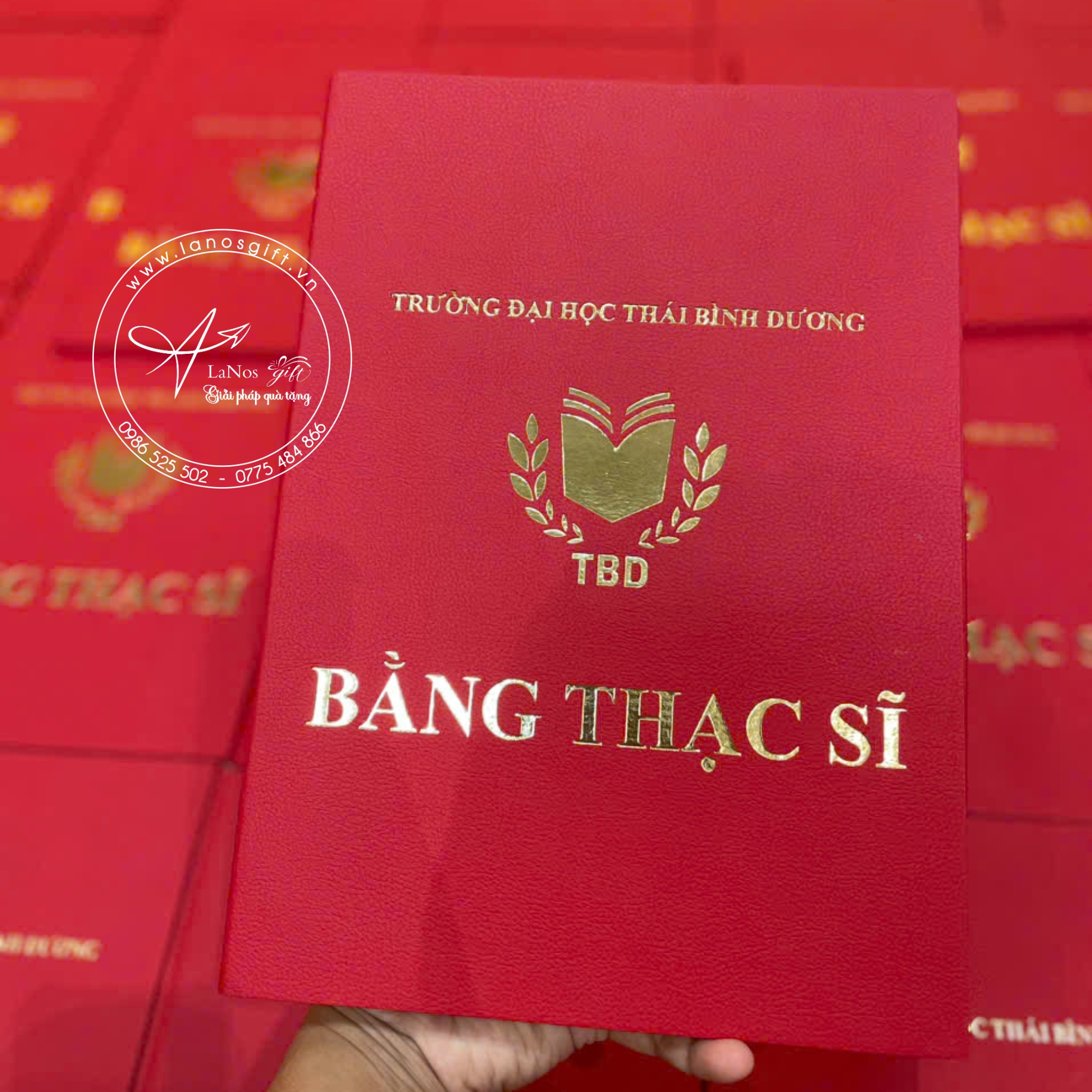 Bìa tốt nghiệp thiết kế theo yêu cầu - LNBTN 01 - Hình ảnh 10