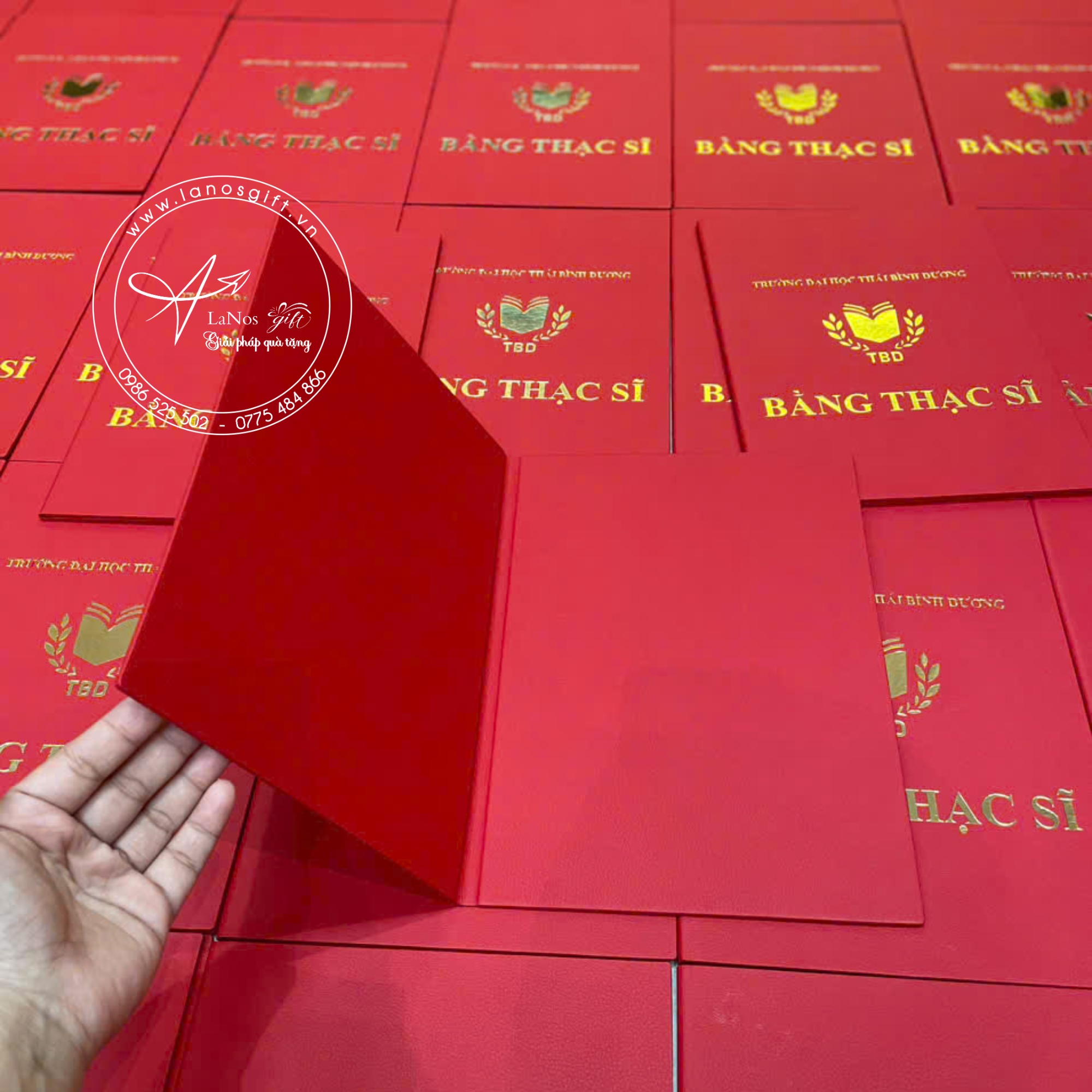 Bìa tốt nghiệp thiết kế theo yêu cầu - LNBTN 01 - Hình ảnh 11