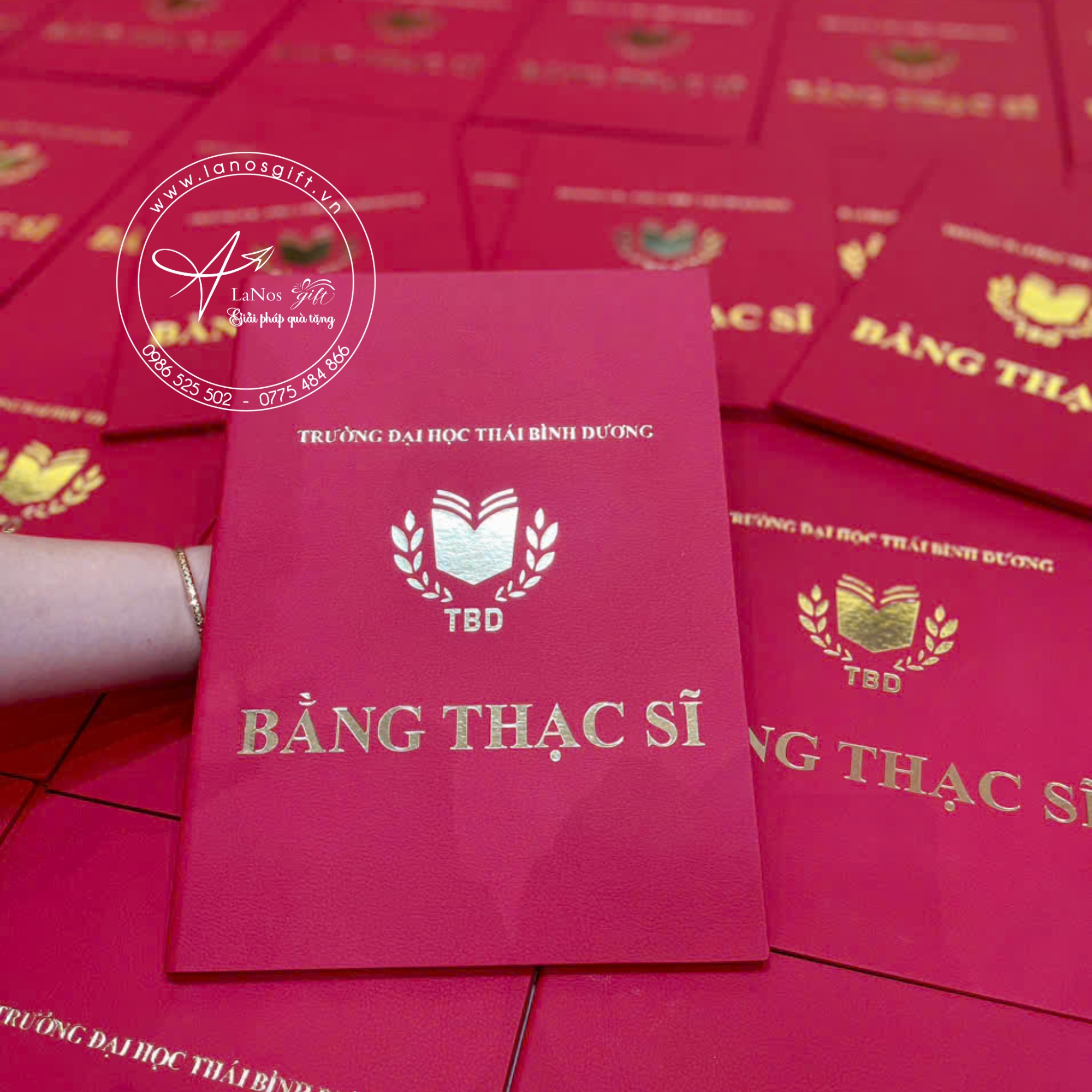 Bìa tốt nghiệp thiết kế theo yêu cầu - LNBTN 01 - Hình ảnh 12