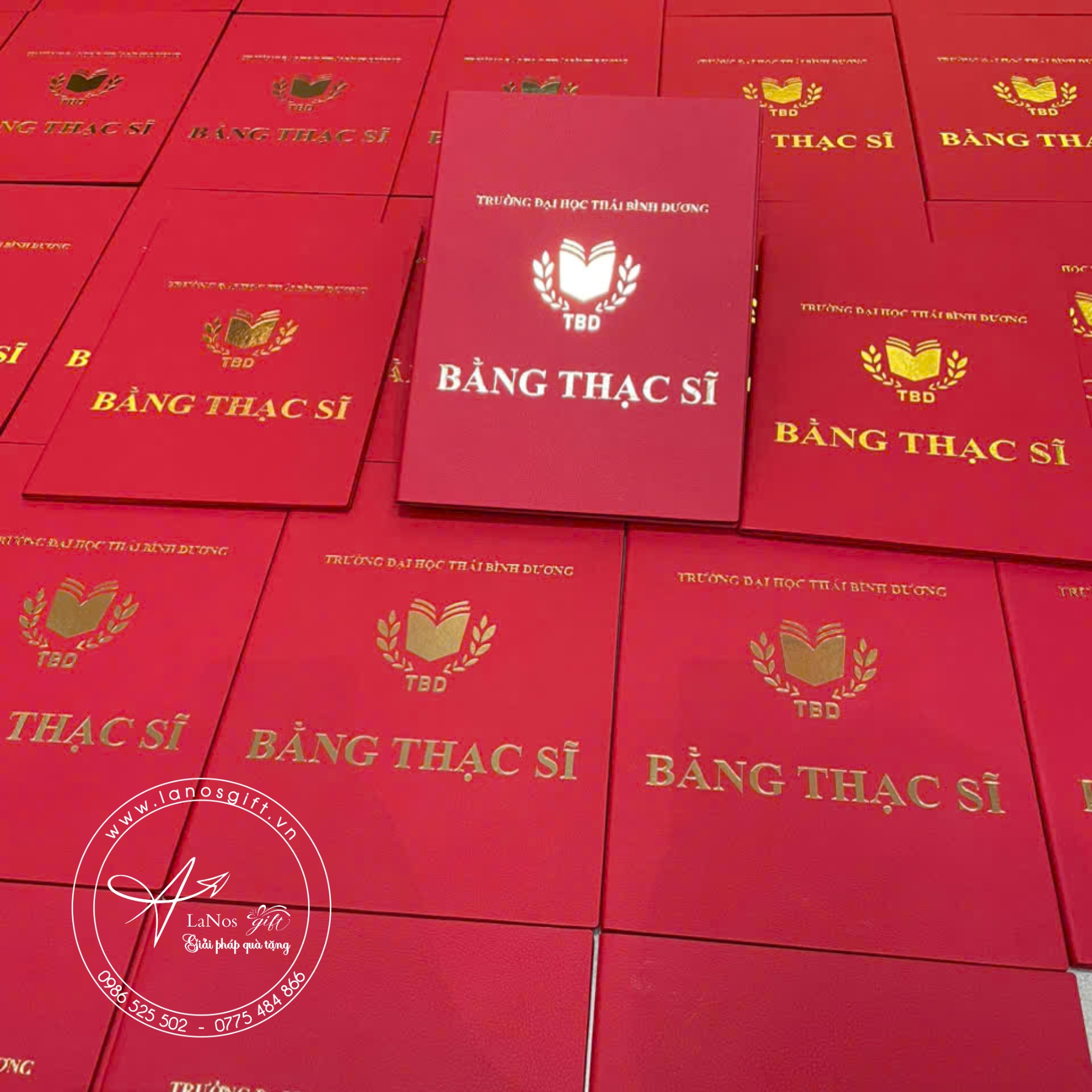 Bìa tốt nghiệp thiết kế theo yêu cầu - LNBTN 01