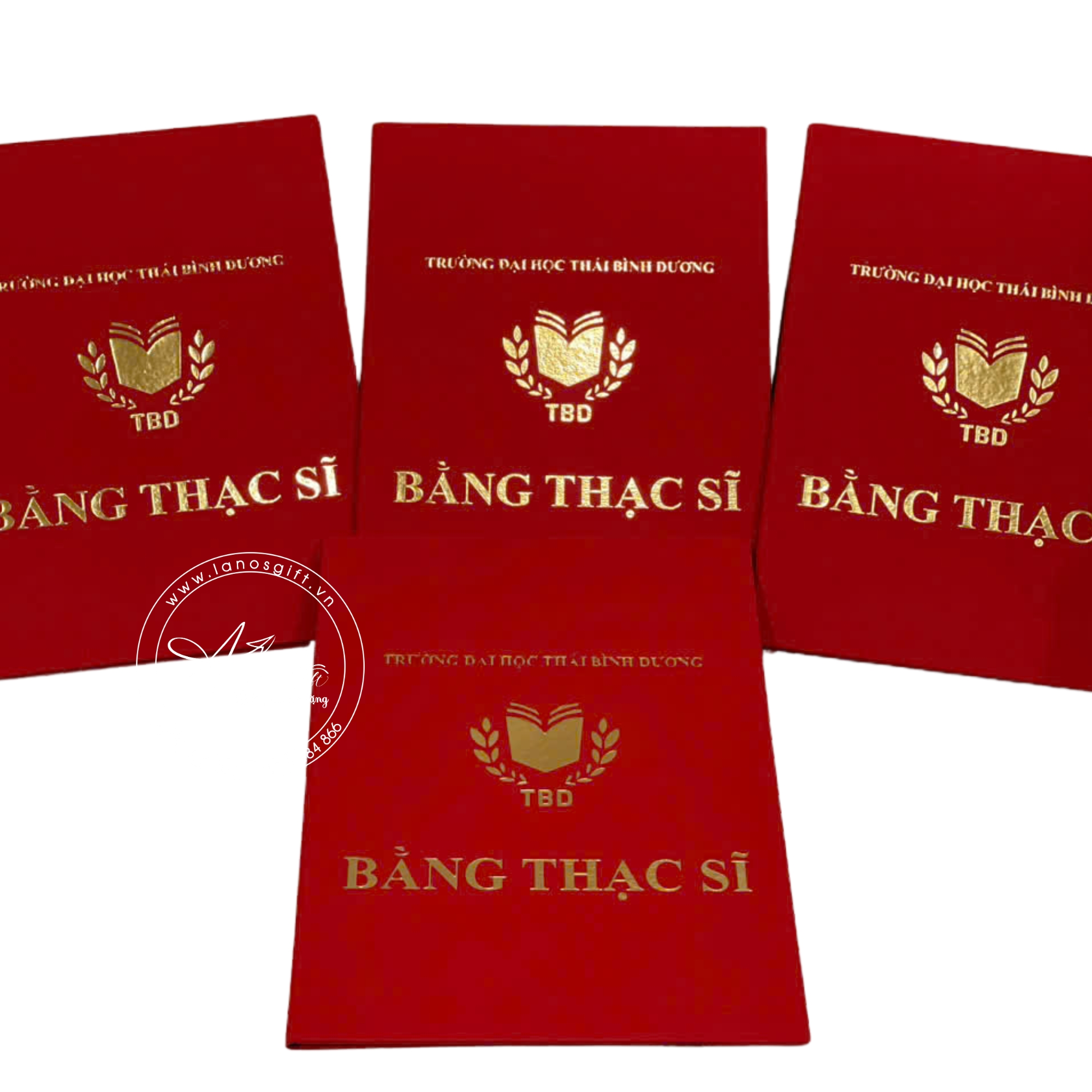 Bìa tốt nghiệp thiết kế theo yêu cầu - LNBTN 01 - Hình ảnh 3