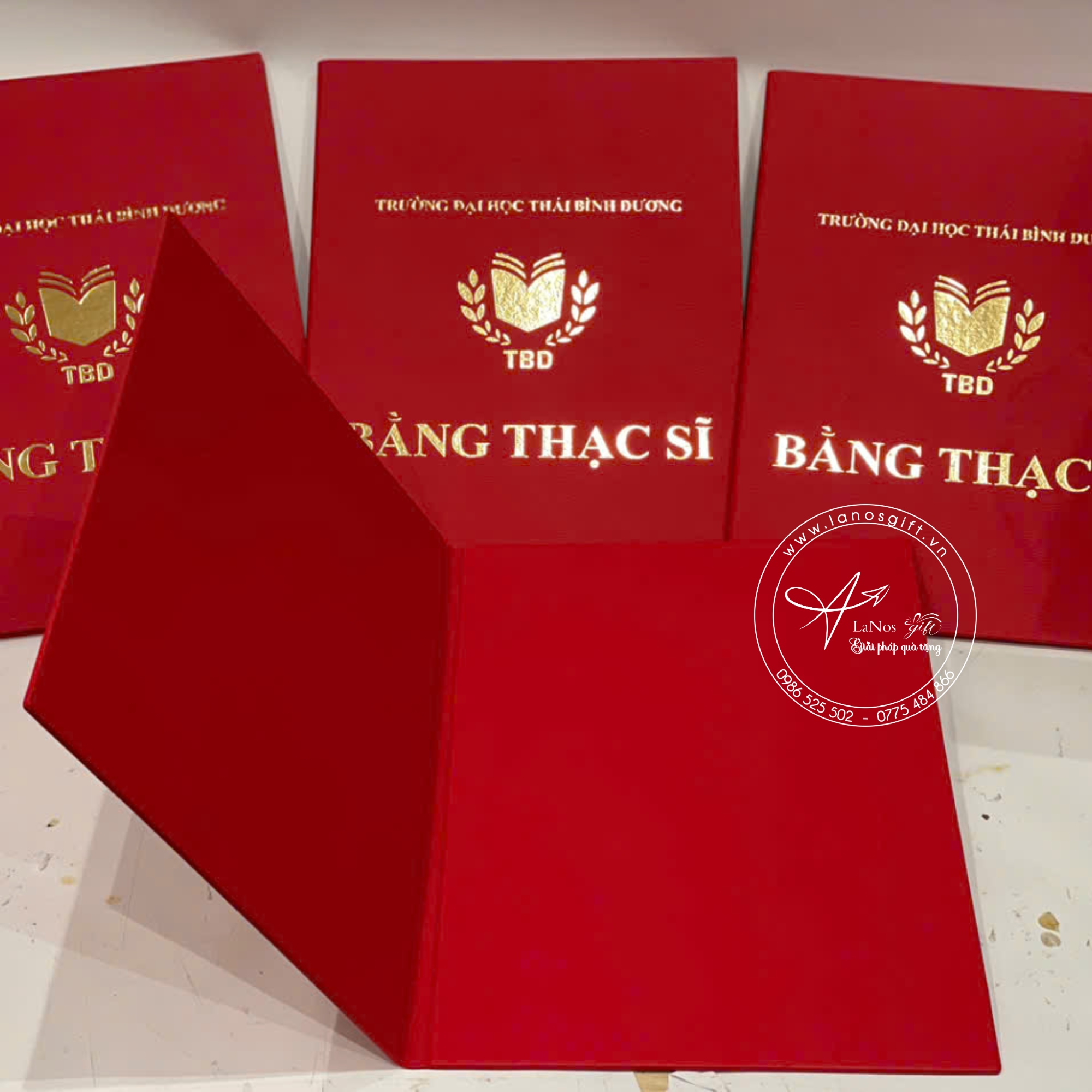 Bìa tốt nghiệp thiết kế theo yêu cầu - LNBTN 01 - Hình ảnh 4