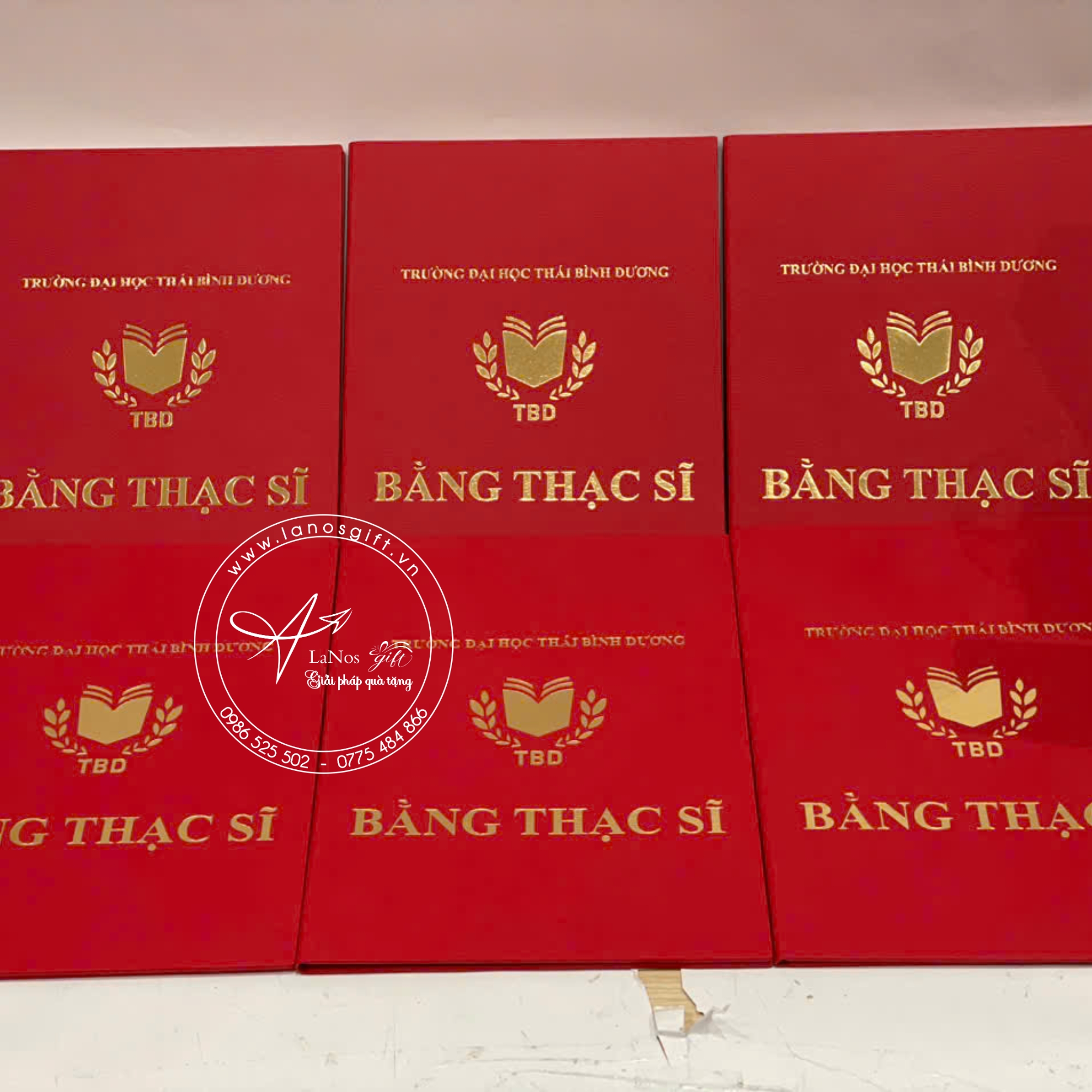 Bìa tốt nghiệp thiết kế theo yêu cầu - LNBTN 01 - Hình ảnh 5