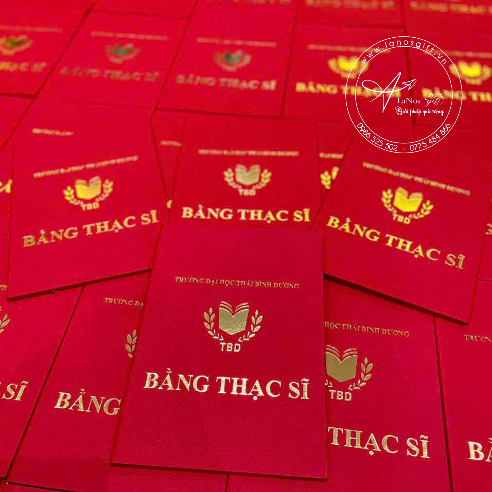 Bìa tốt nghiệp thiết kế theo yêu cầu - LNBTN 01 - Hình ảnh 6