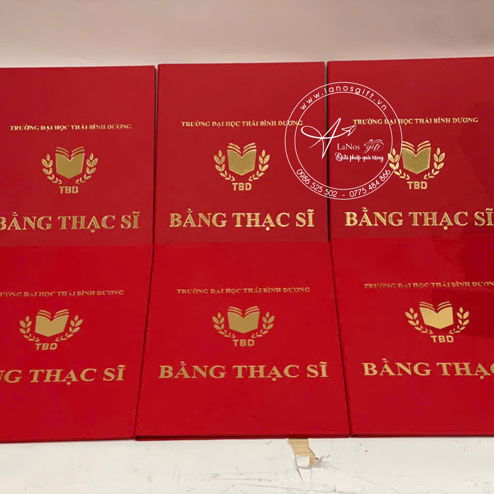 Bìa tốt nghiệp thiết kế theo yêu cầu - LNBTN 01 - Hình ảnh 7