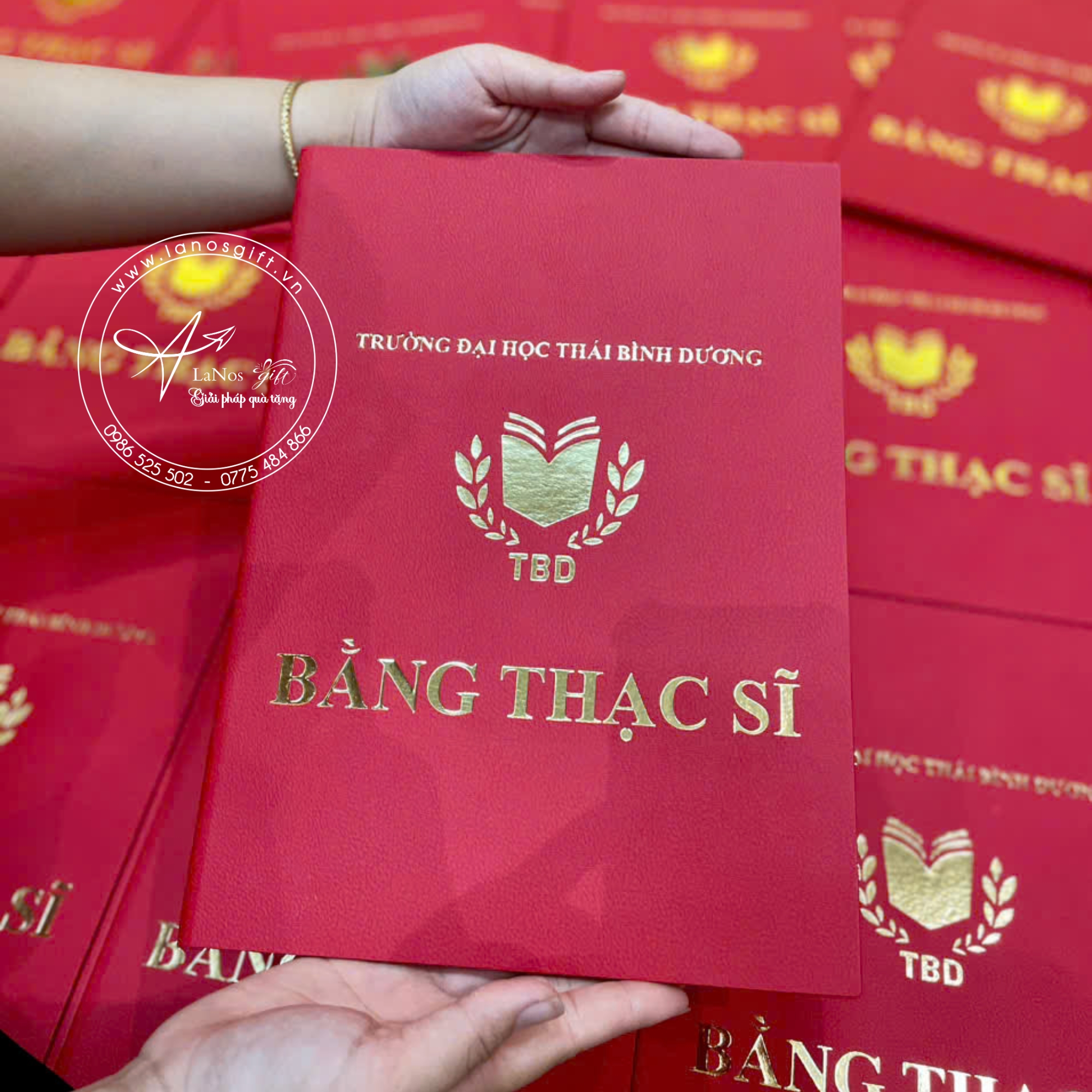 Bìa tốt nghiệp thiết kế theo yêu cầu - LNBTN 01 - Hình ảnh 8