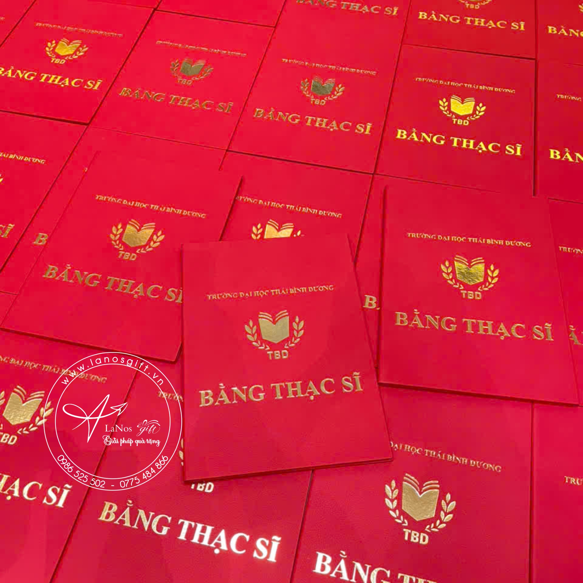 Bìa tốt nghiệp thiết kế theo yêu cầu - LNBTN 01 - Hình ảnh 9