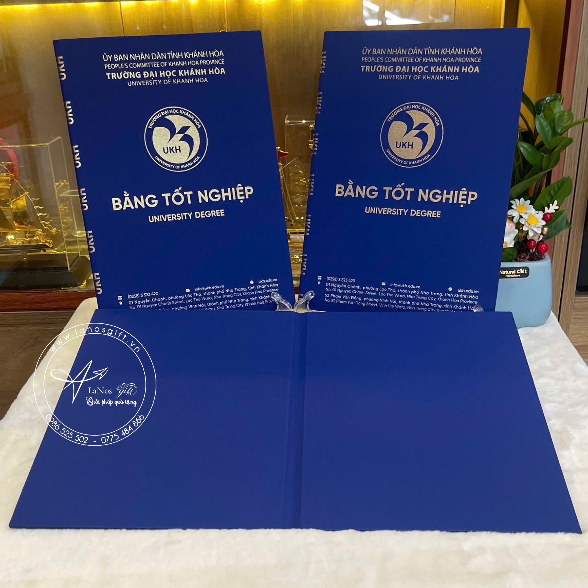 Bìa tốt nghiệp thiết kế theo yêu cầu - LNBTN 03