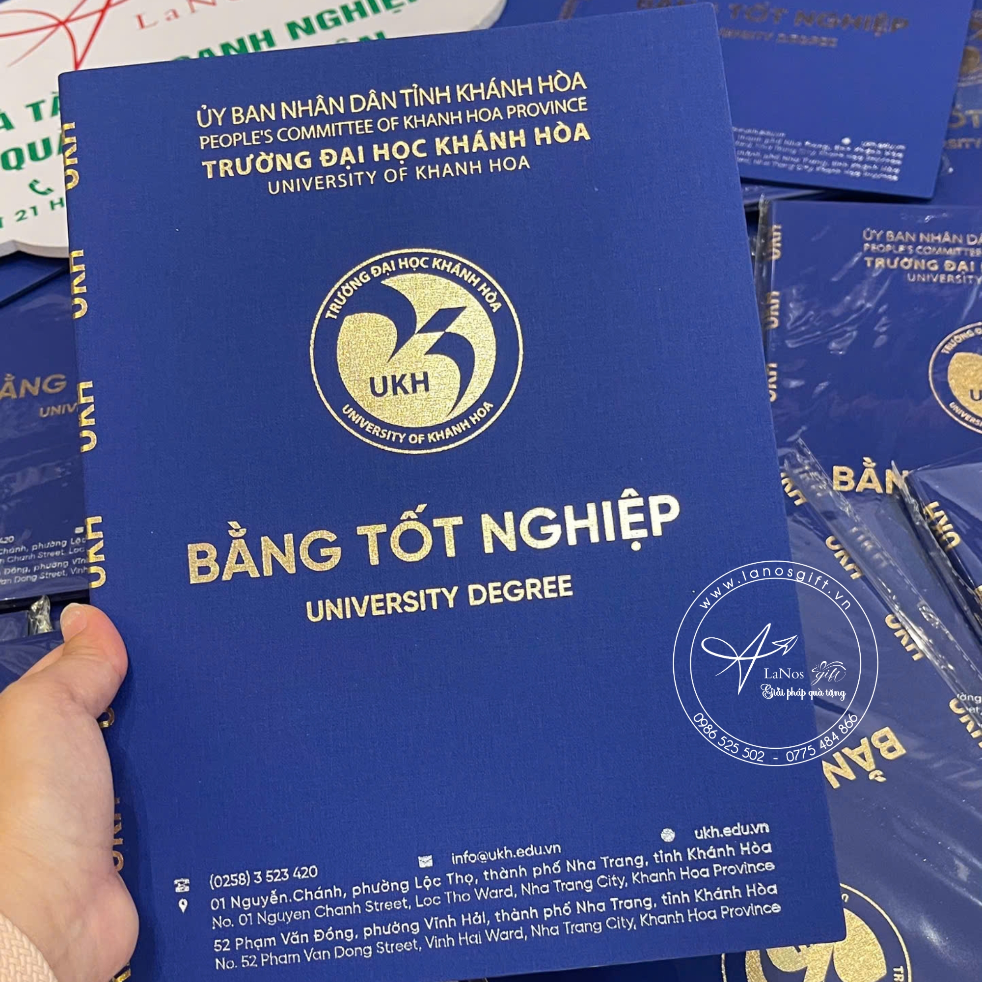 Bìa tốt nghiệp thiết kế theo yêu cầu - LNBTN 03 - Hình ảnh 2