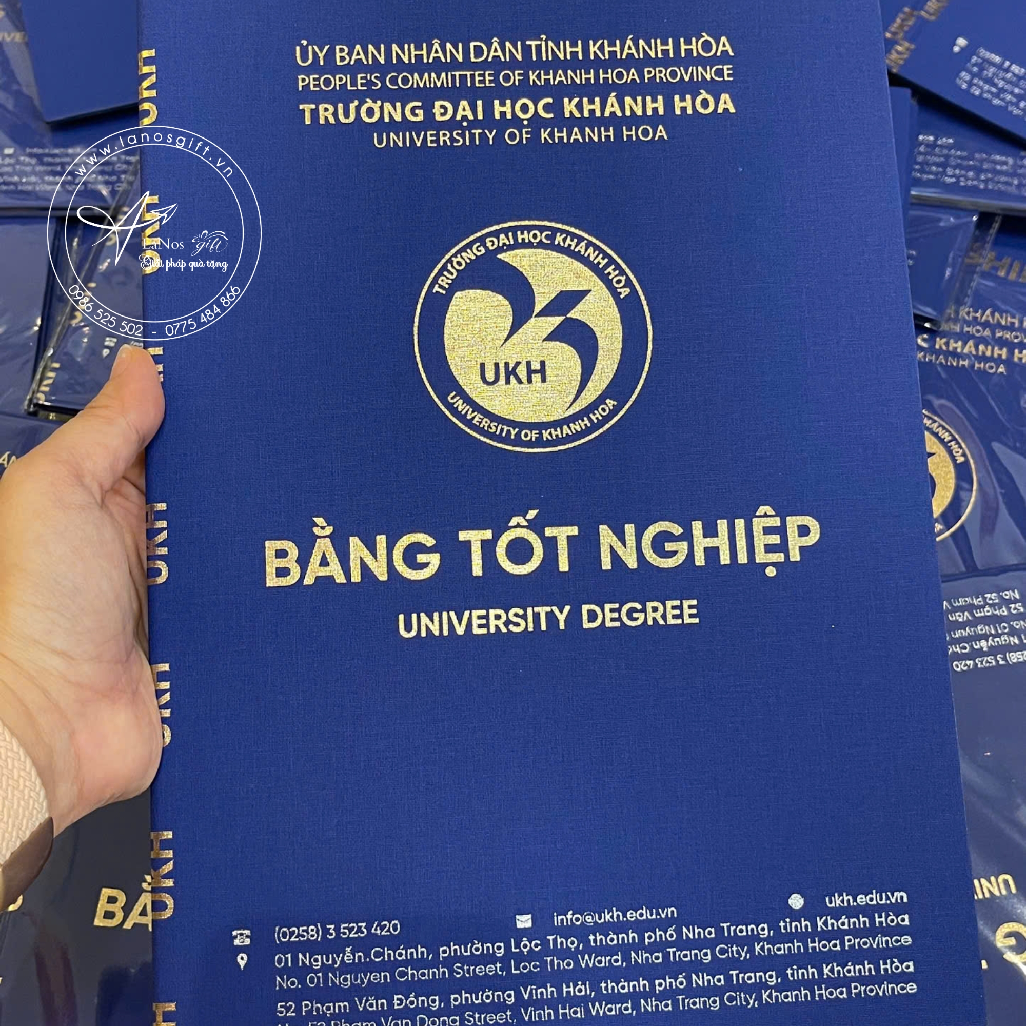 Bìa tốt nghiệp thiết kế theo yêu cầu - LNBTN 03 - Hình ảnh 4