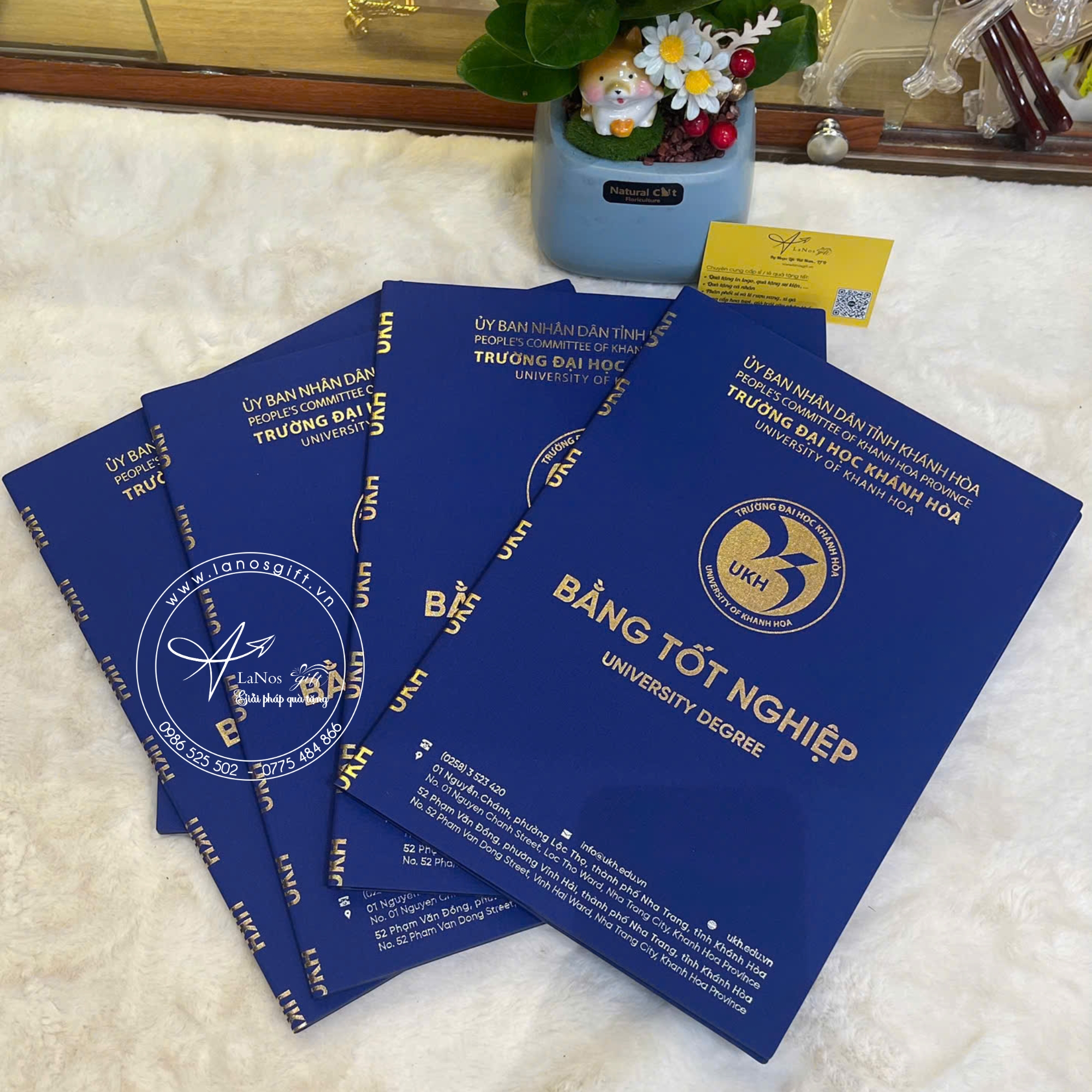 Bìa tốt nghiệp thiết kế theo yêu cầu - LNBTN 03 - Hình ảnh 7